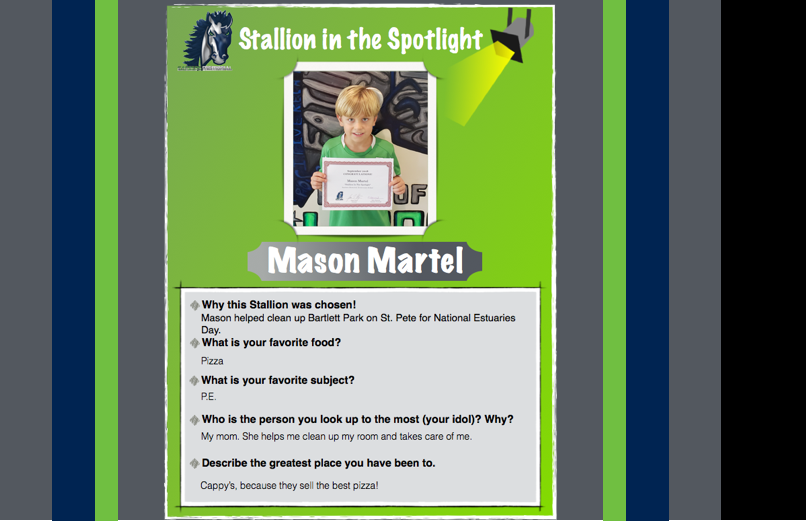 Stallion in the Spotlight – Mason Martel