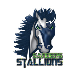 link to School Spirit Store