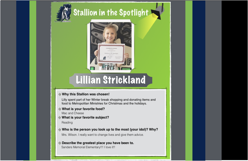 Stallion in the Spotlight – Lillian!