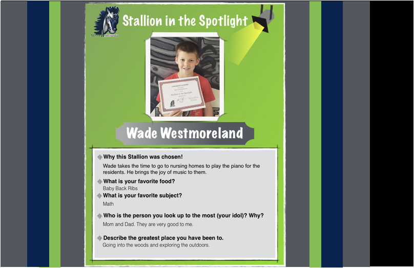 Stallion in the Spotlight – Wade!