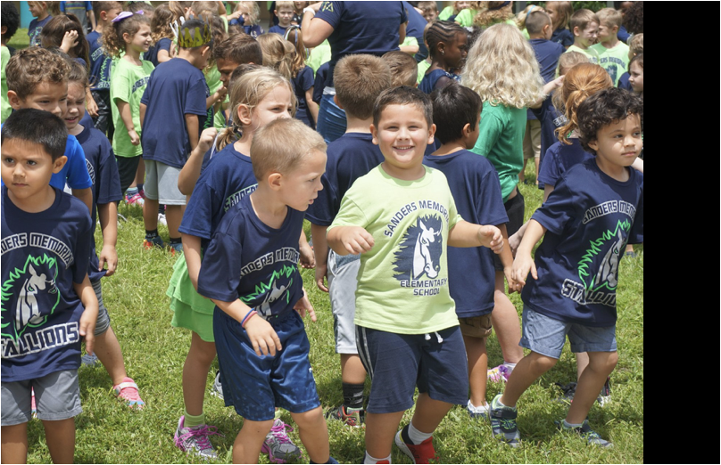 Check Out Our SPECIAL Stallions!